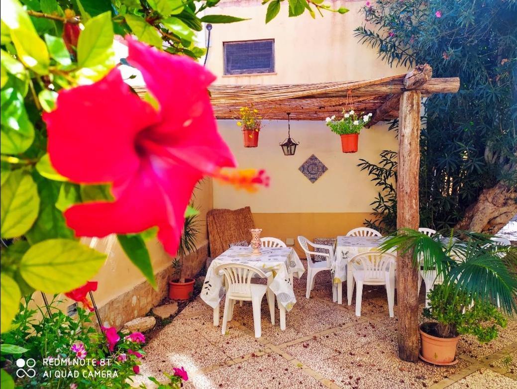 Sunrise Stagnone - Kitesurf Spot Bed & Breakfast Marsala Bagian luar foto