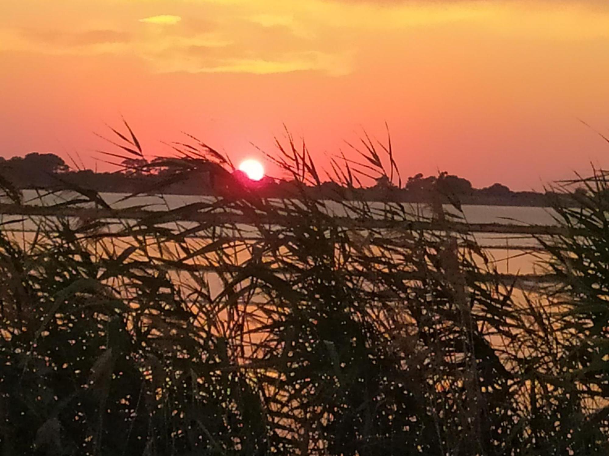 Sunrise Stagnone - Kitesurf Spot Bed & Breakfast Marsala Ruang foto