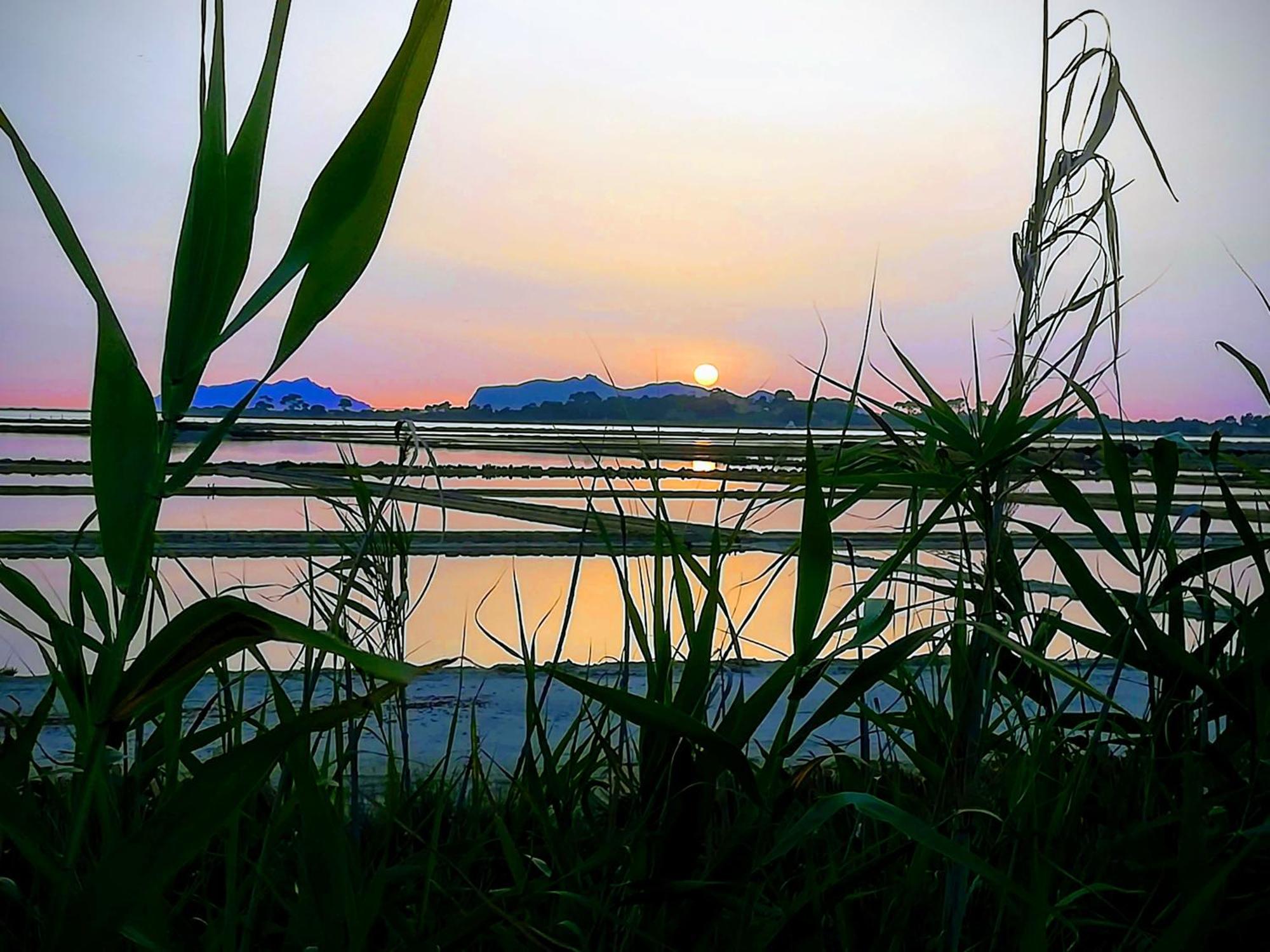Sunrise Stagnone - Kitesurf Spot Bed & Breakfast Marsala Bagian luar foto