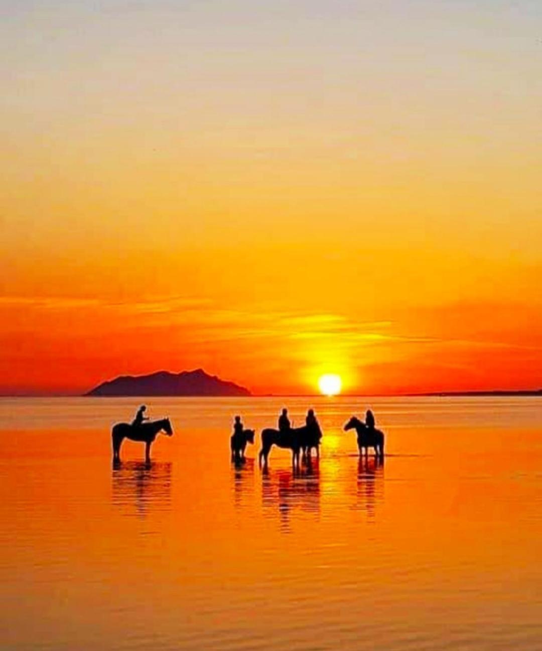 Sunrise Stagnone - Kitesurf Spot Bed & Breakfast Marsala Bagian luar foto