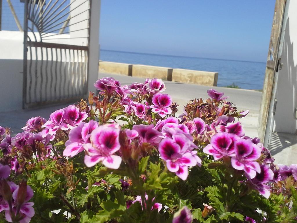 Sunrise Stagnone - Kitesurf Spot Bed & Breakfast Marsala Ruang foto