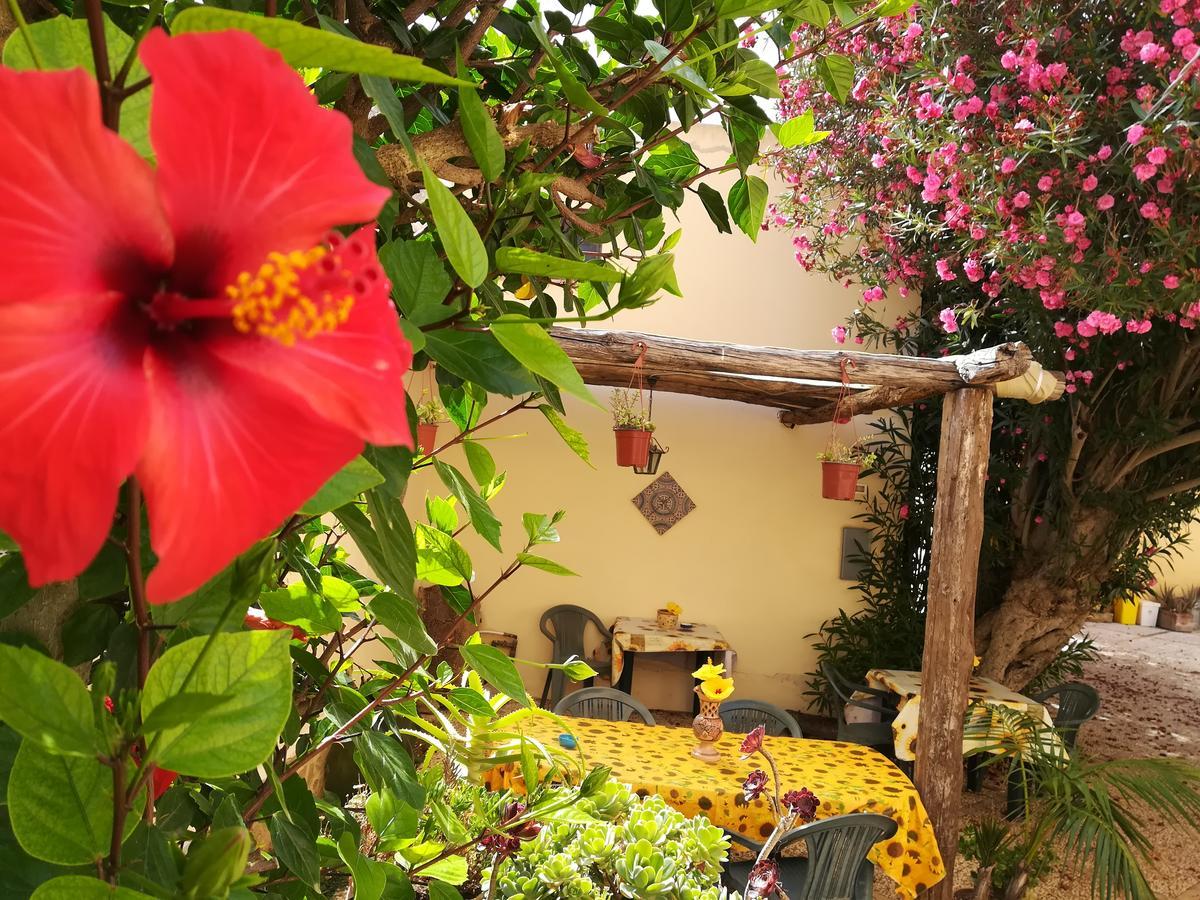 Sunrise Stagnone - Kitesurf Spot Bed & Breakfast Marsala Bagian luar foto